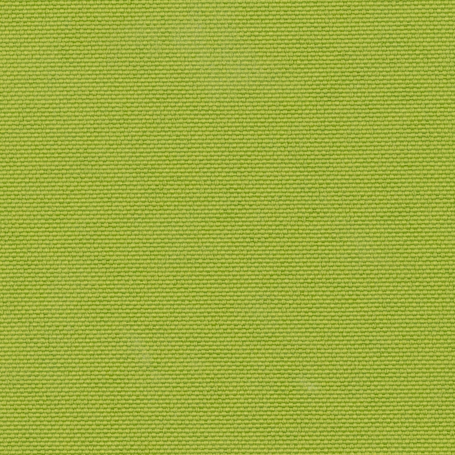 Matcha Tea